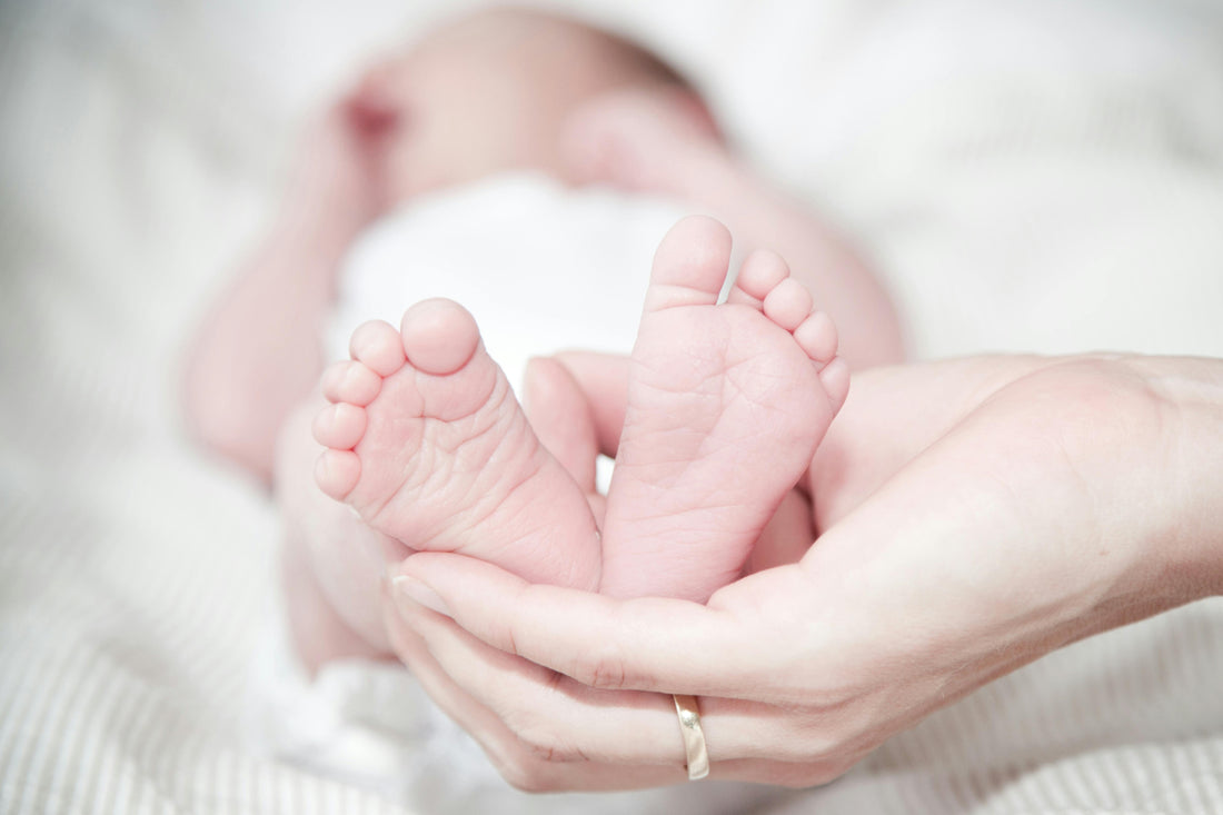 PRIMA INFANZIA